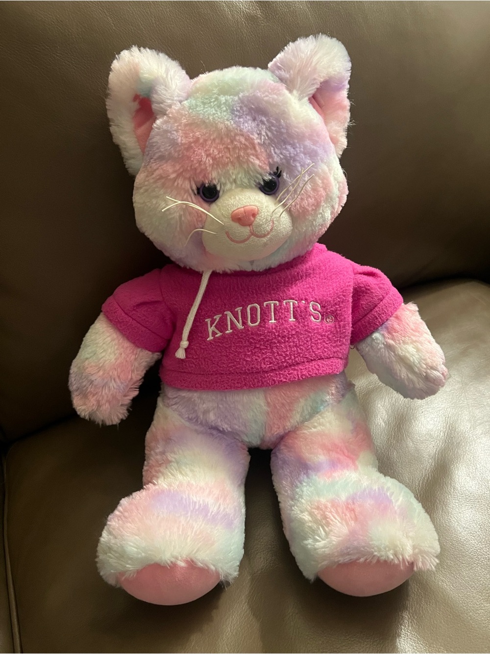 EXCLUSIVE Build-A-Bear KNOTTS BERRY FARM Pastel Cat 🐱 Plush with Pink 💕Hoodie